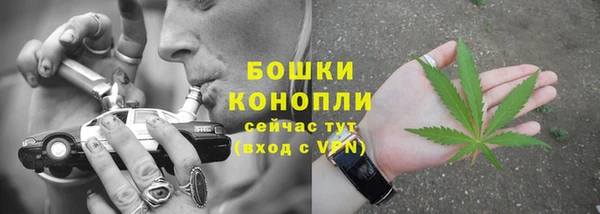 шишки Богданович