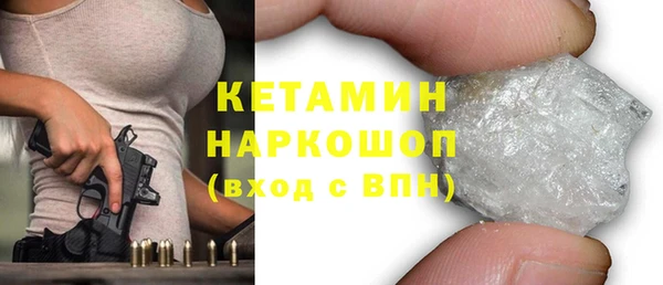 гидра Богородицк