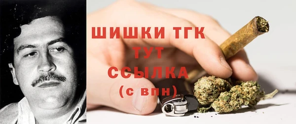 ECSTASY Богородск