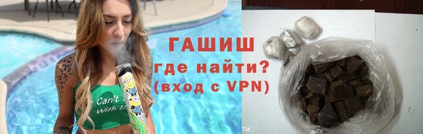 гидра Богородицк