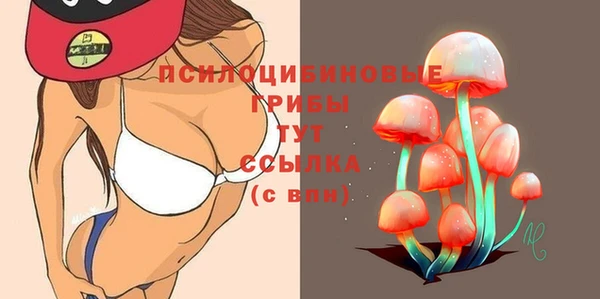 шишки Беломорск