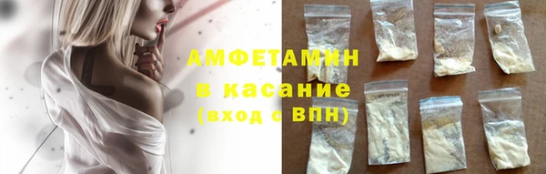 гидра Богородицк