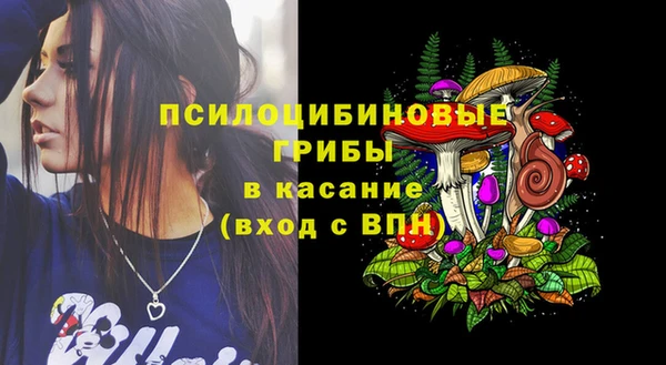 ECSTASY Богородск