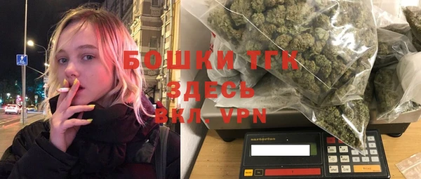шишки Беломорск