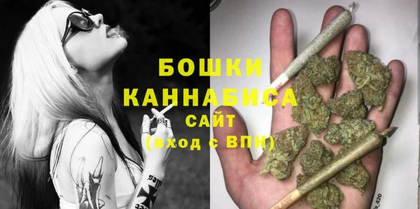 шишки Богданович