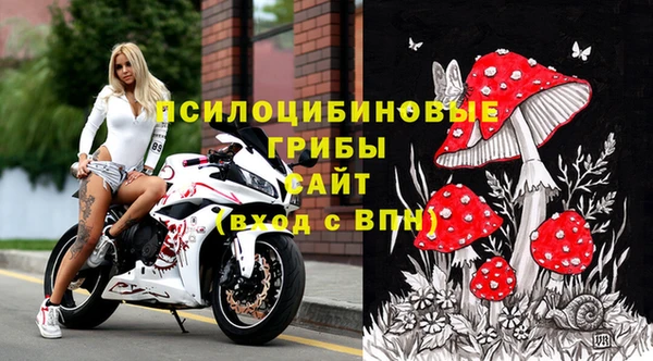 шишки Богданович